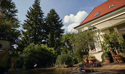 Professionelle_Bildbearbeitung_GIF_25.gif